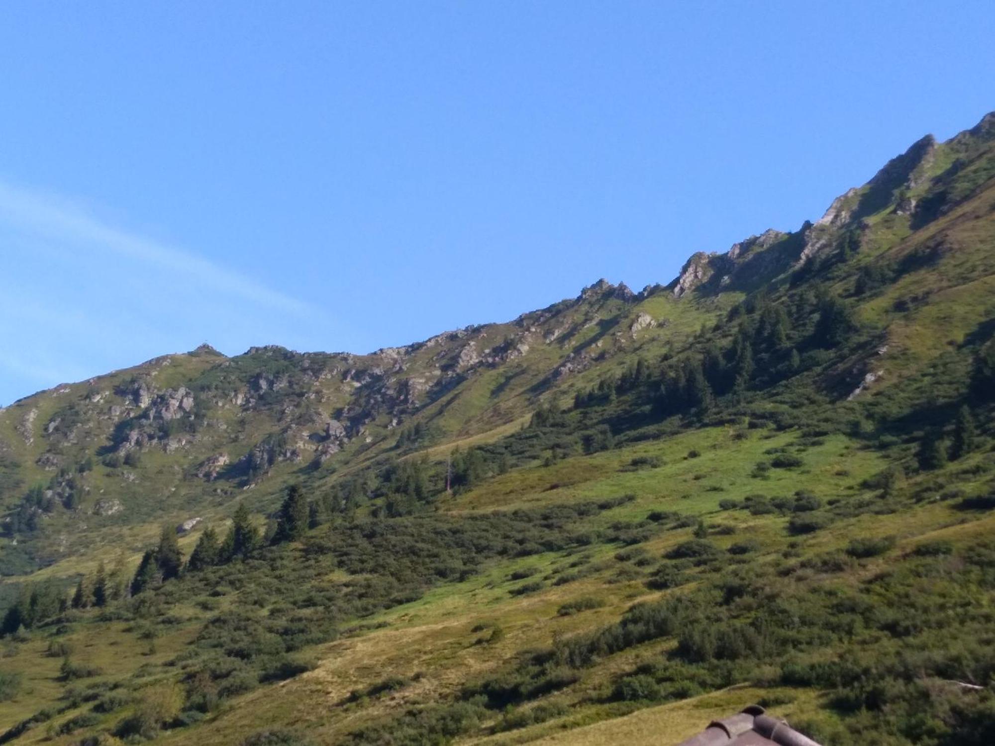 Haus Andrea Planneralm