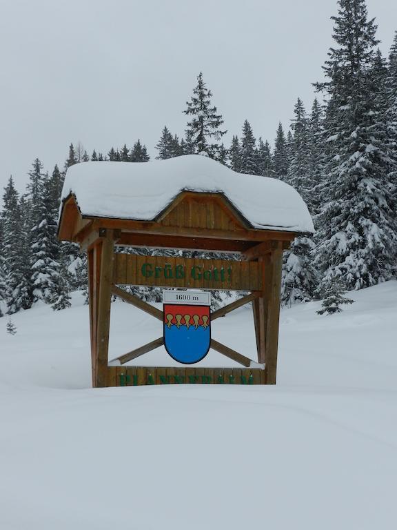 Apartment Haus Andrea Planneralm